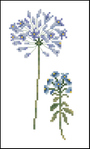  Lanarte Agapanthus and antique fence N34655 (295x490, 63Kb)