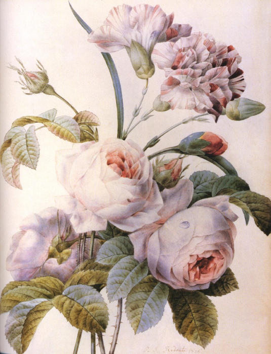 Redoute 1749-1840, Pierre-Joseph, France Roses bouquet (535x700, 445Kb)