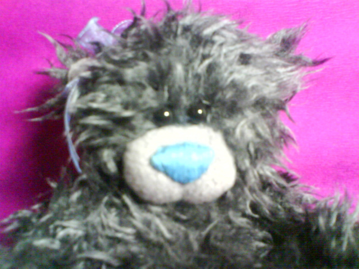 DSC01563 (700x525, 452Kb)