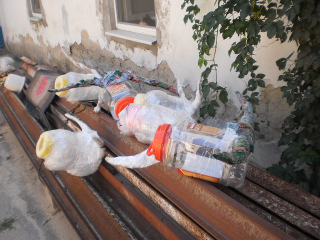 P9140258 (640x480, 81Kb)