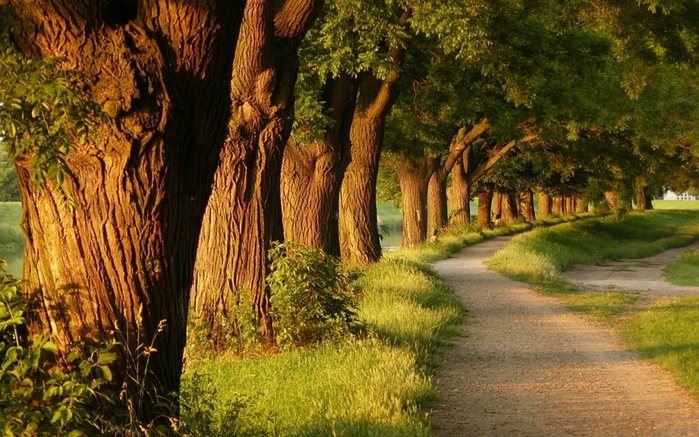  (700x437, 316Kb)
