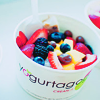 hsfrozenyoghurt (100x100, 19Kb)