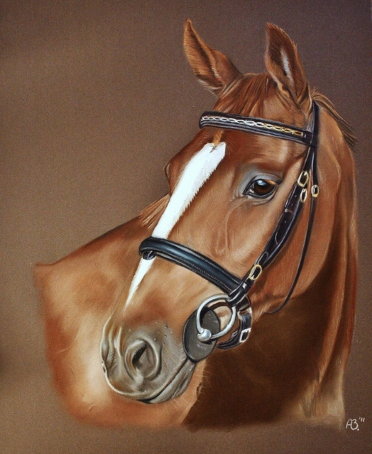 horse_ii_by_ab_arts-d3fy69q (524x640, 203Kb)