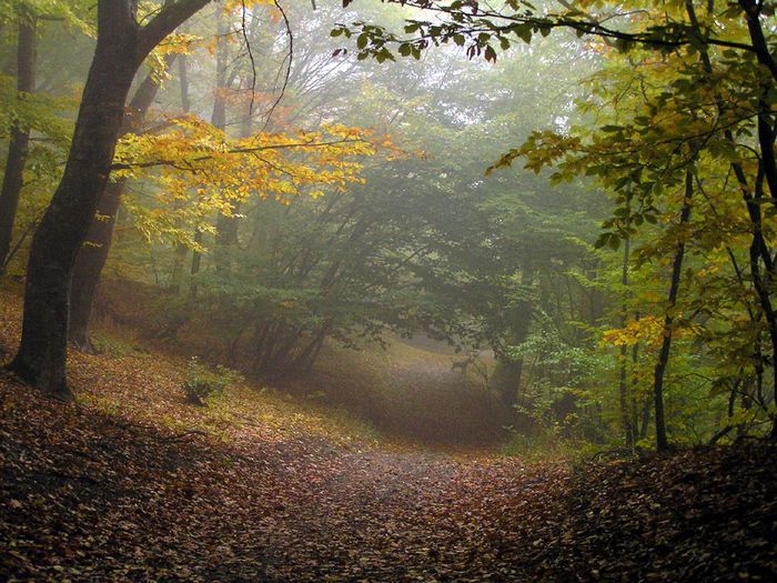 2005.10.22_11.45.35_d166 (700x525, 102Kb)