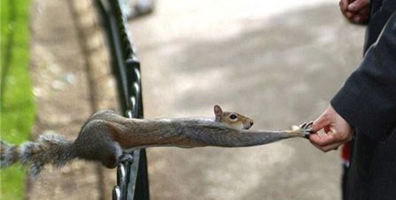 ����� (447x226, 15Kb)