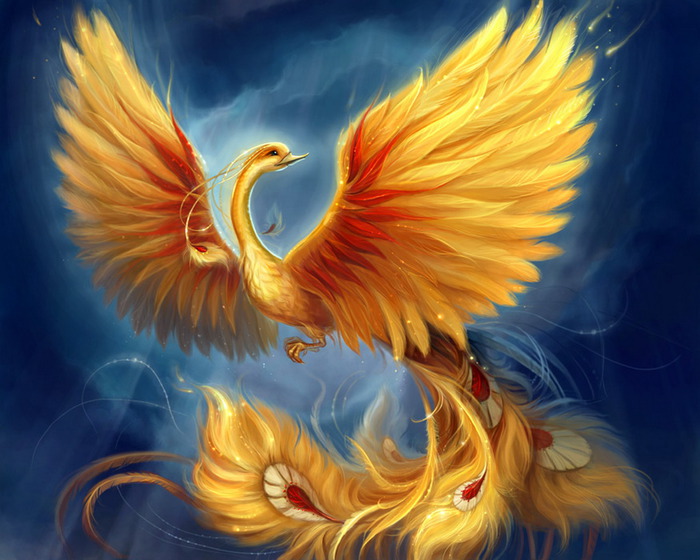 77365186_fenice4 (700x560, 113Kb)