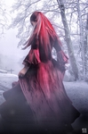  Snow_Dancing_by_RedSigns (462x700, 258Kb)