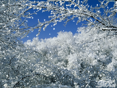 9  (500x375, 567Kb)