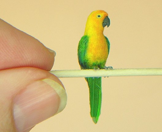 Как сделать попугая из шишки и пластилина