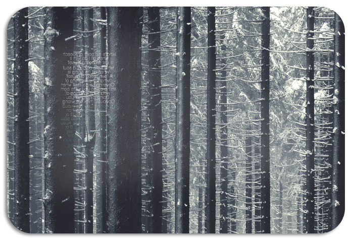 1322042189_87979 (697x476, 729Kb)