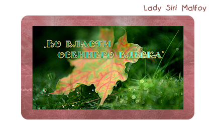 Preview_o111111111f (430x270, 164Kb)