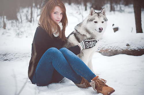 dog-girl-husky-snow-winter-Favim.com-137659 (500x331, 66Kb)