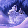rabbit_01 (110x110, 22Kb)