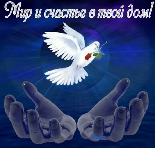 7845135_3d898184 (594x569, 413Kb)