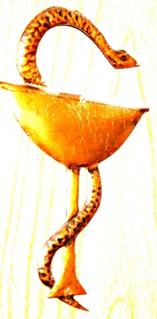      (221x448, 71Kb)