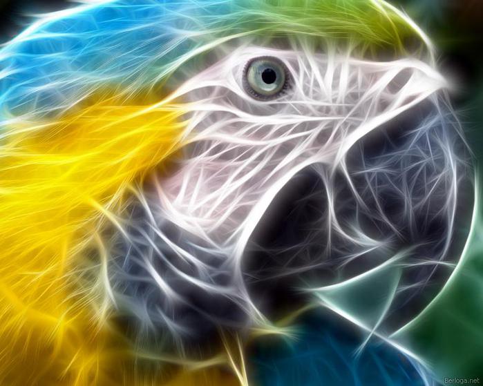 3869930_berloga_net_233155309 (700x559, 55Kb)