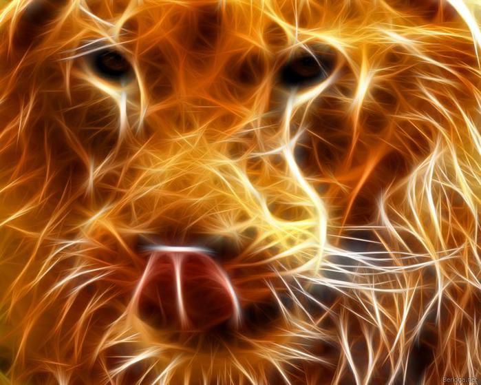 3869930_berloga_net_1357238486 (700x559, 67Kb)