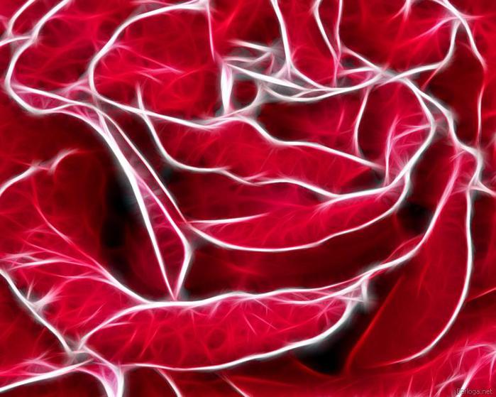 3869930_berloga_net_2091964422 (700x559, 57Kb)