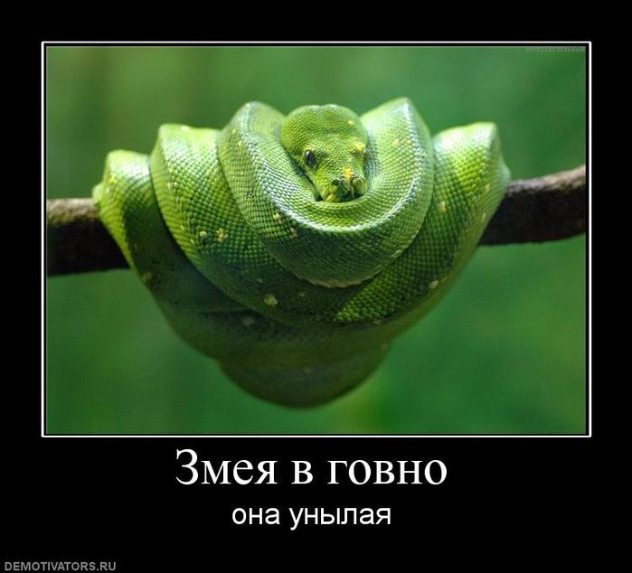 Коллектив Змей Фото