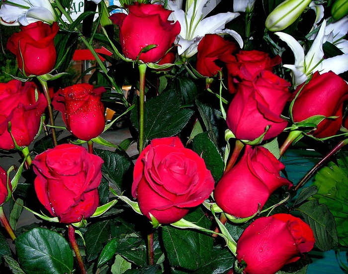 0_61998_2d504b8a_XL (700x550, 186Kb)