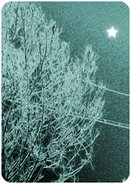 1216826te4emvufu0 (185x259, 43Kb)