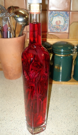 DSC03020 (260x448, 86Kb)