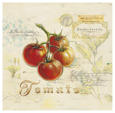angela-staehling-tuscan-tomato (473x466, 82Kb)