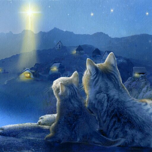 11.12000.512.SM - nativity star and cats (512x512, 137Kb)