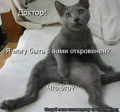 доктор котоматрица (510x476, 35Kb)