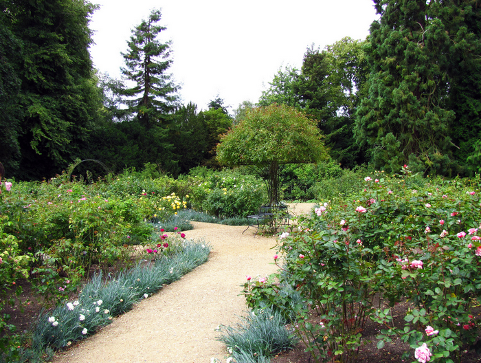 All sizes  Waddesdon Manor rose garden  Flickr - Photo Sharing! (700x528, 916Kb)
