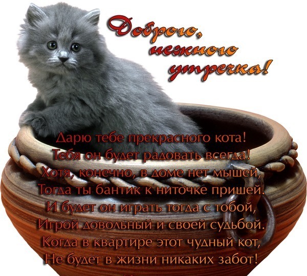 http://img1.liveinternet.ru/images/attach/c/4/80/757/80757083_dobroe_utro434455.jpg