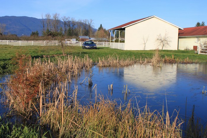 mini-026 (700x466, 115Kb)