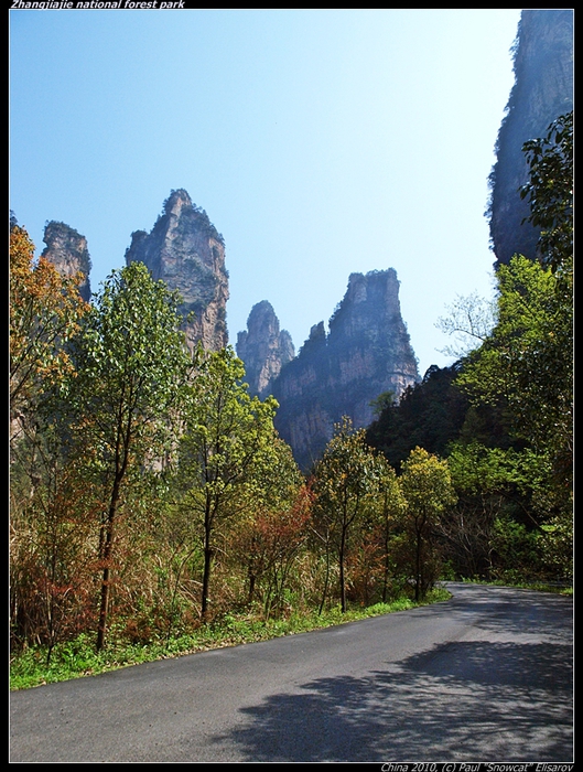P4057167-vi (529x700, 344Kb)