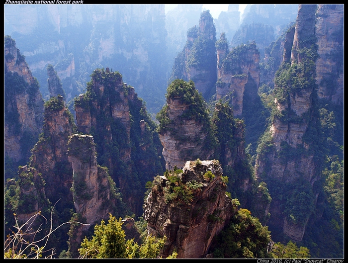 P4057235-vi (700x529, 346Kb)