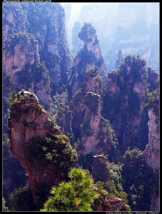 P4057249-vi (529x700, 355Kb)