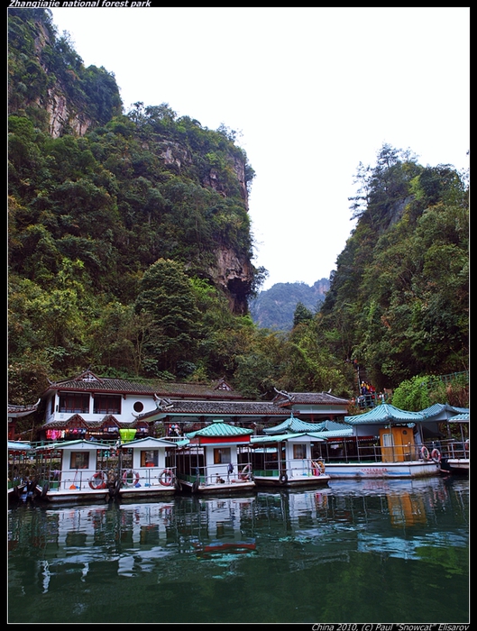 P4057391-vi (529x700, 305Kb)