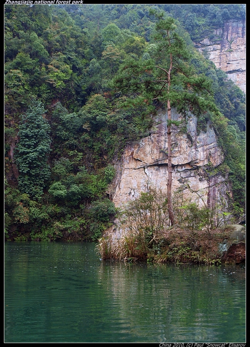 P4057444-vi (504x700, 354Kb)