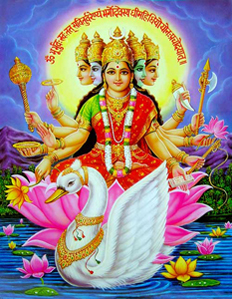 3986017_gayatri (232x299, 133Kb)