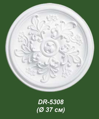 005 - DR-308 (320x385, 72Kb)