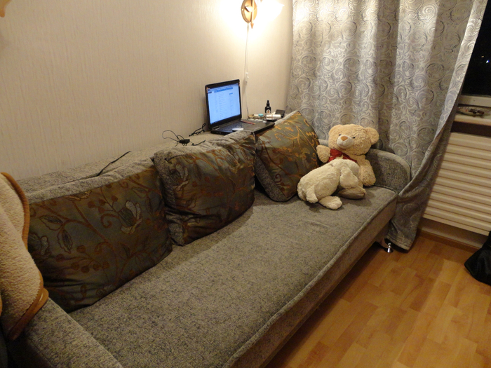 DSC00511 (700x525, 471Kb)
