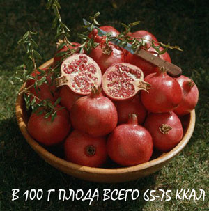 pomegranate2 (300x303, 31Kb)