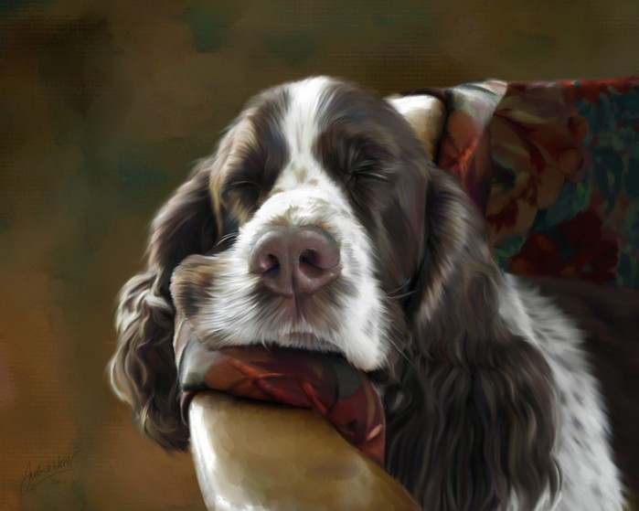 pcd1797sleepyheadspaniel10x8 (700x559, 61Kb)