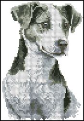 3937664_DMCTerrier (175x250, 14Kb)