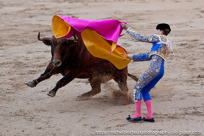 ES-Corrida 2011 2203w (700x466, 178Kb)