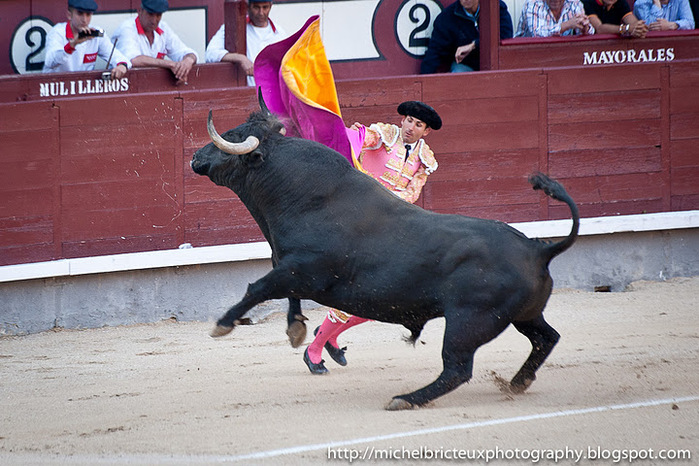 ES-Corrida 2011 2429w (700x466, 150Kb)