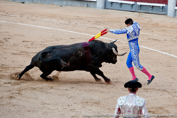 ES-Corrida 2011 2480w (700x466, 156Kb)