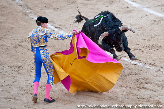 ES-Corrida 2011 2642w (700x466, 169Kb)