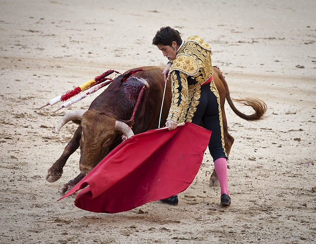 ES-Corrida 2010 7857w (640x494, 132Kb)