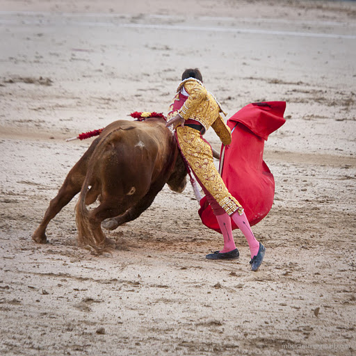 ES-Corrida 2010 5885w (512x512, 106Kb)