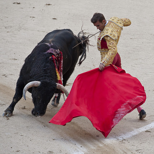 ES-Corrida 2010 7580w (512x512, 93Kb)